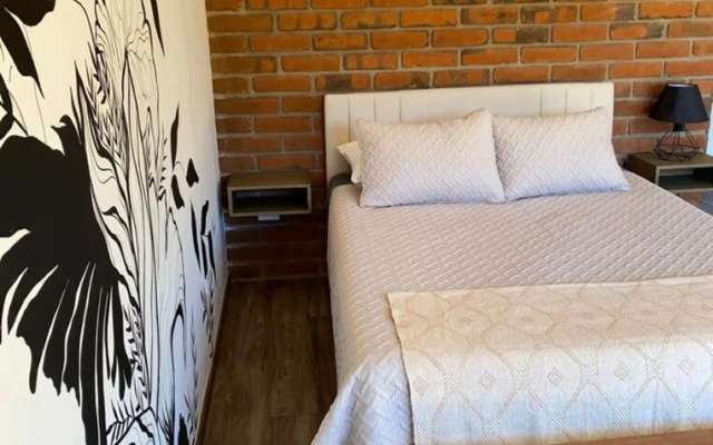 Palta 60 Valle de Guadalupe