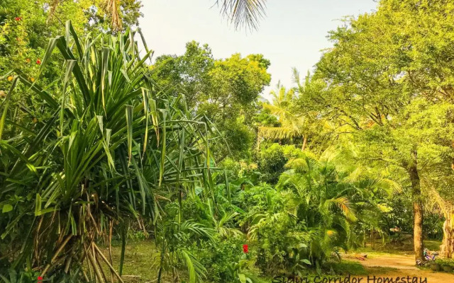 Sigiri Corridor Home Stay