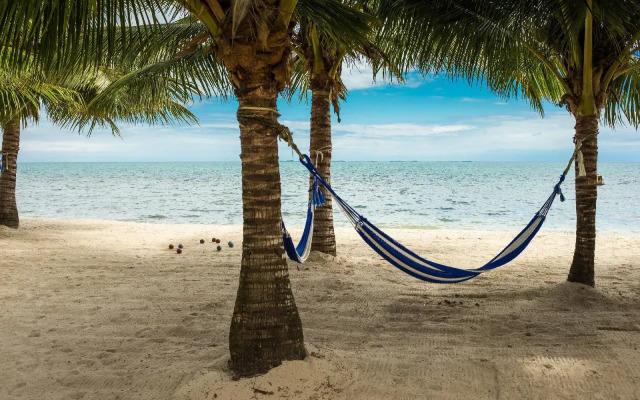 Turtle Inn by Francis Ford Coppola