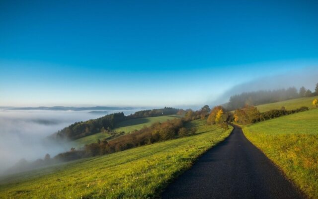 Comfy Apartment in Zendscheid near Forest