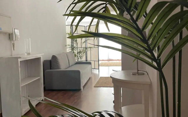 Irua Apartamentos