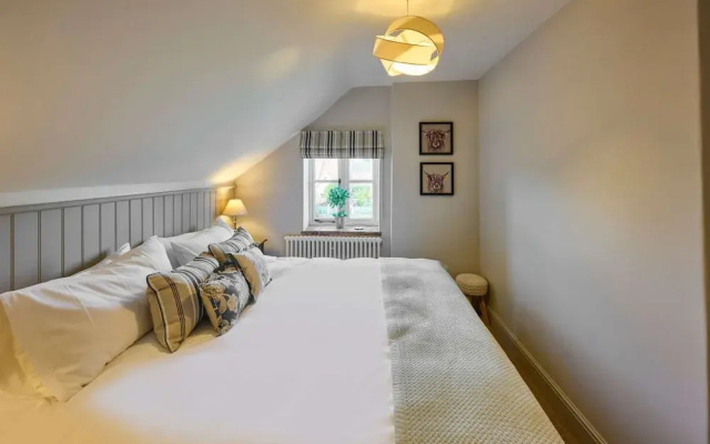 Host Stay Rock Rose