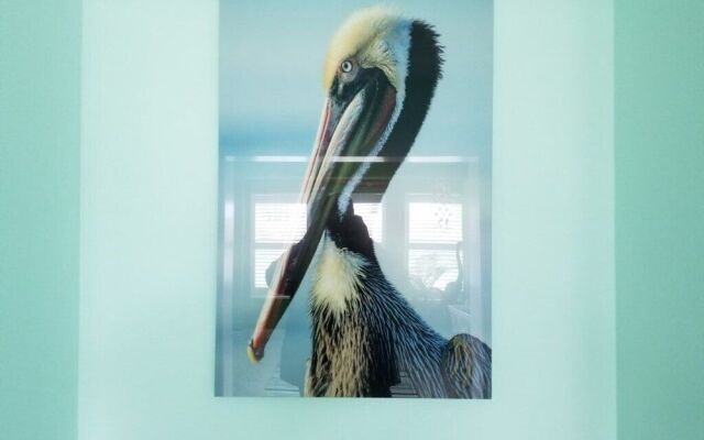 Rusty Pelican
