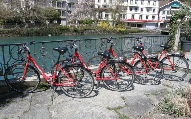 Alplodge Interlaken - Hostel