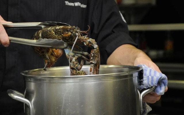 Boutique Hotel Slenaker Vallei