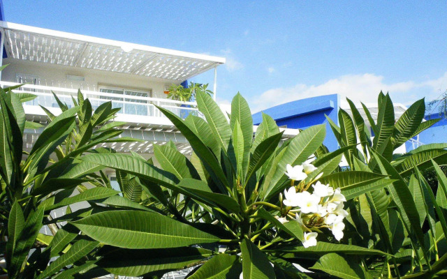 Case Vacanze Pomelia