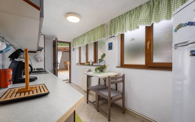 Spacious Holiday Home in Istria Croatia With Pool