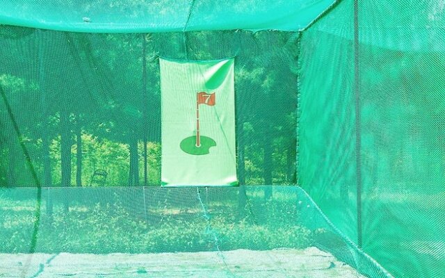 Forest of Morning Calm