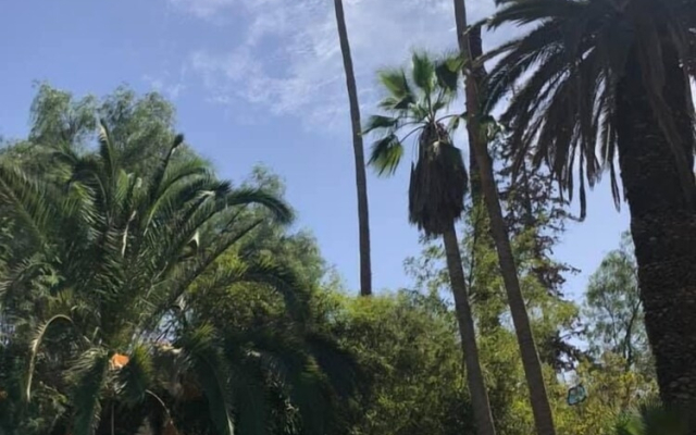 Le Jardin De La Koudya