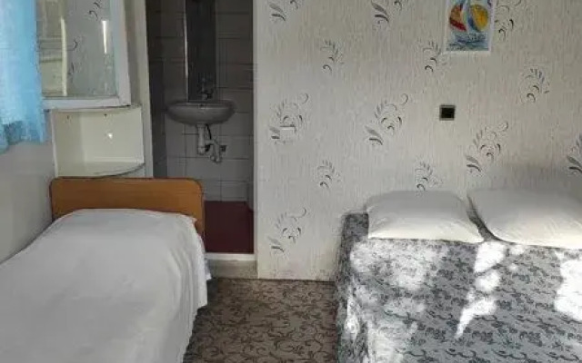 Pod palmoj