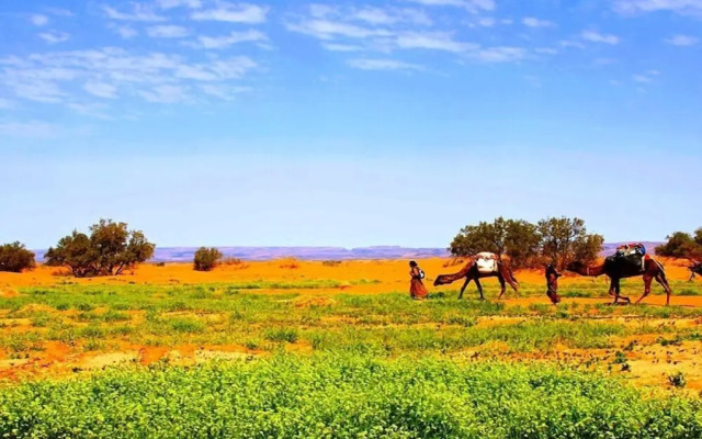 Locals Under Stars Trips