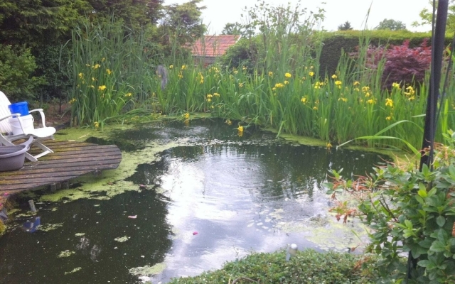 Dreamy Holiday Home in Sweikhuizen with Swimming Pool, Garden