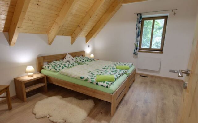 Apartment U Krále Kořenov
