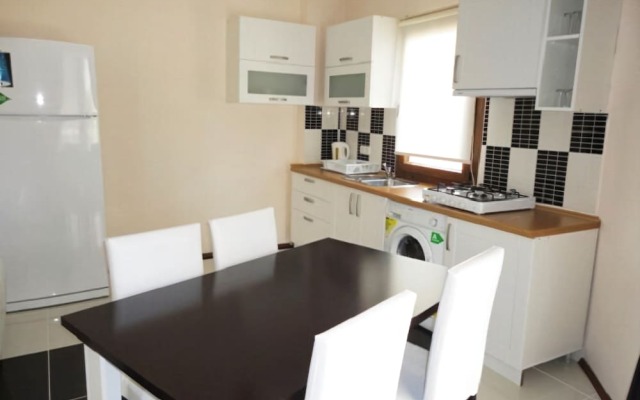 BO082 by Villaofsummer