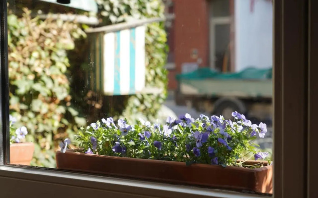 Apt in center of Ostende 20min from Bruges
