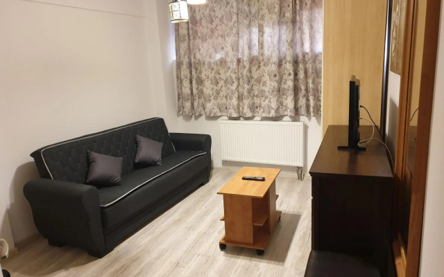 Grozavesti Cozy Apartment