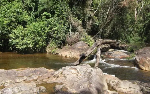 Hummingbird Guest Lodge & Hostel