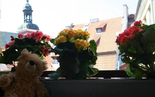 Teddy Bear Hostel Riga