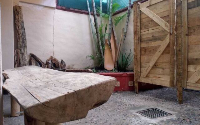 My Local Home Vallarta