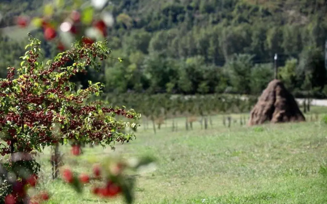 Locanda 5 Cerri Nihotels