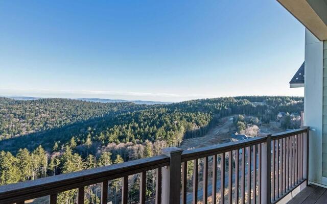 3 Br: Soaring Eagle 404