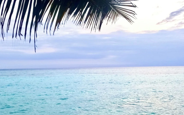 Miska Zanzibar