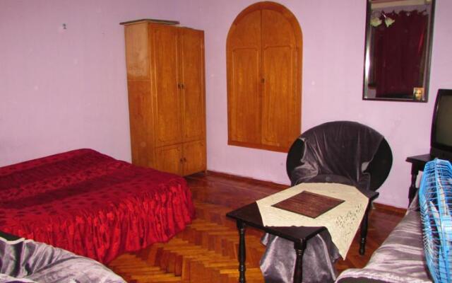Apartment on Machabeli 20