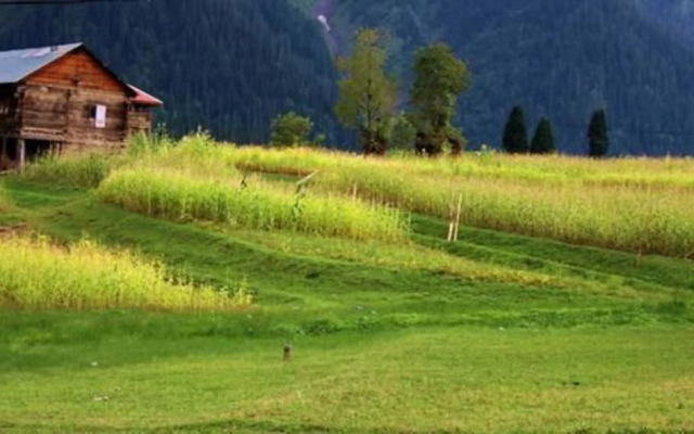 Sharda Resort