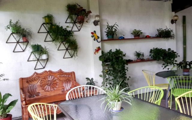 Árbol de Fuego Eco-hotel, a green experience in the city
