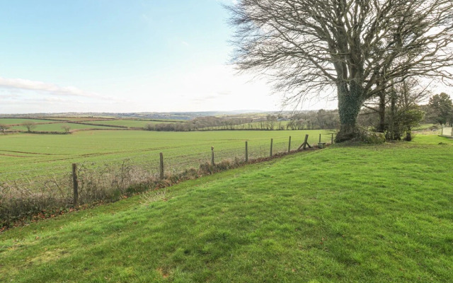 9 Faraway Fields