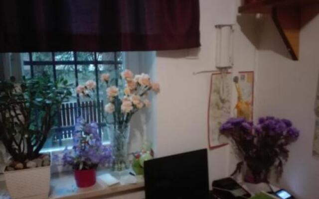 Hostel Madeira