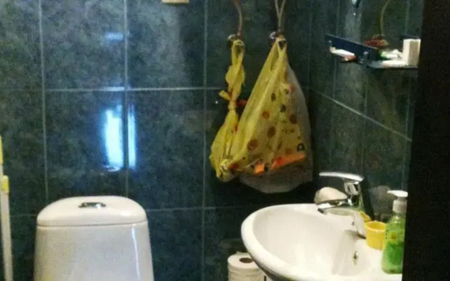 Green Apartmnet on Shenchenko