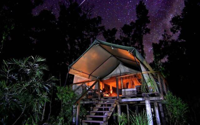 Paperbark Camp