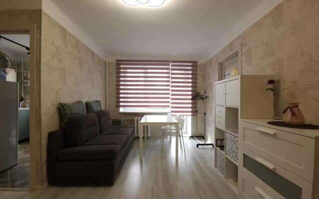 Апартаменты на улице Шотмана 3