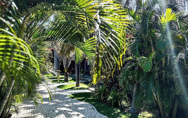 Room-spacious Suit Tarifa