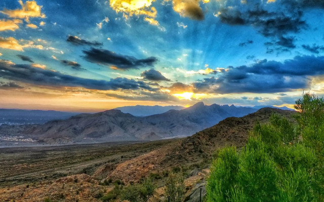 The View