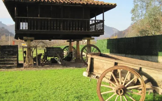 Hotel Cardeo
