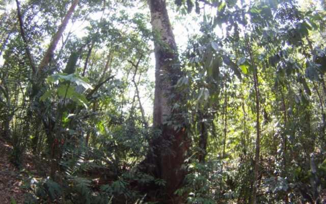 Cabinas Los Laureles