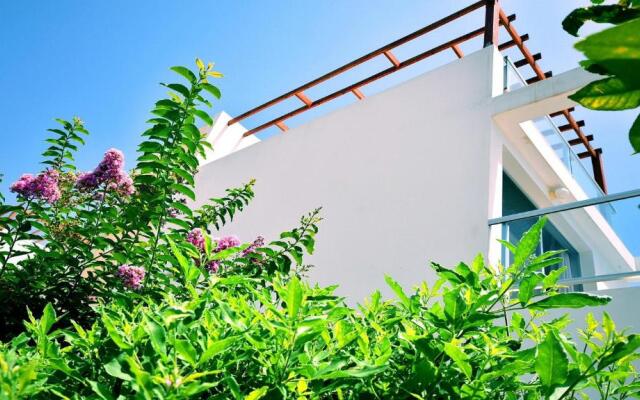 Villa Ana
