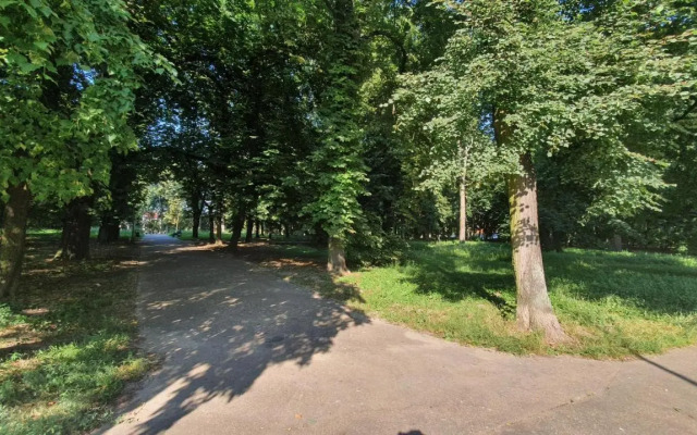 Apartament Park Saski