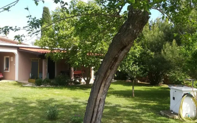 N2