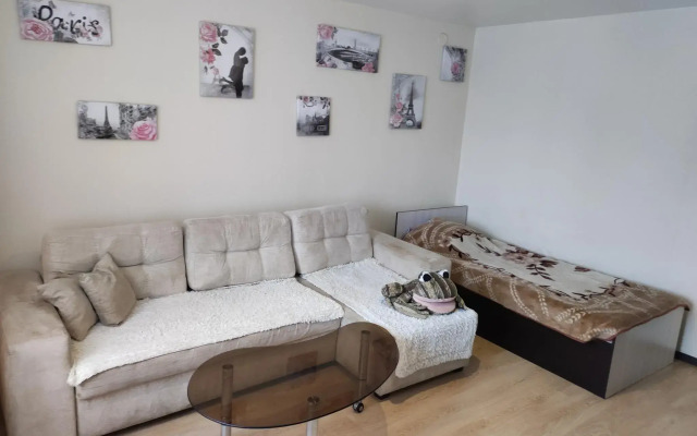 Апартаменты на улице 50 лет ВЛКСМ 38