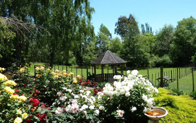 Mokoia Downs B&B