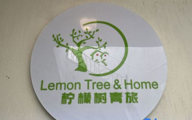 Lemon Tree & Home 2
