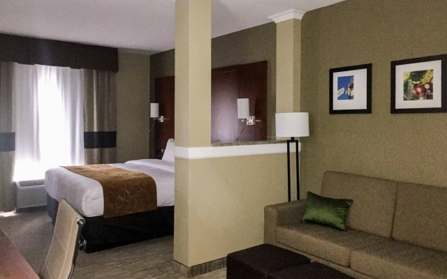 Comfort Suites University