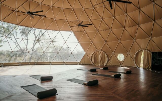 Alaya Yoga & Surf & Retreat