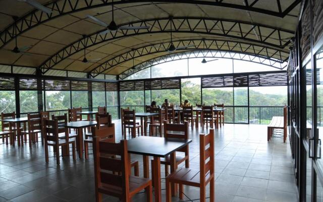 The Rainforest Ecolodge