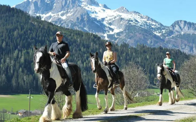 Wohlfühlhotel Martinerhof