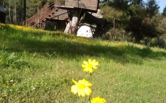 Olympos Woods - Adults Only