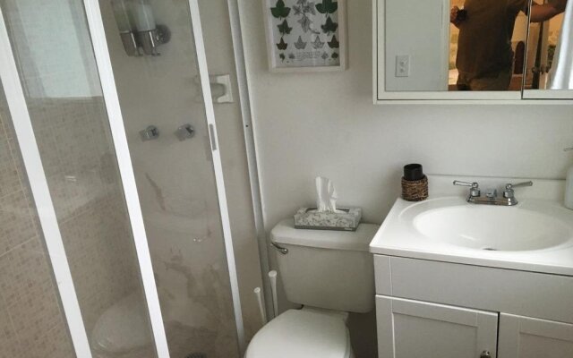 Art Residence B&B San Angel